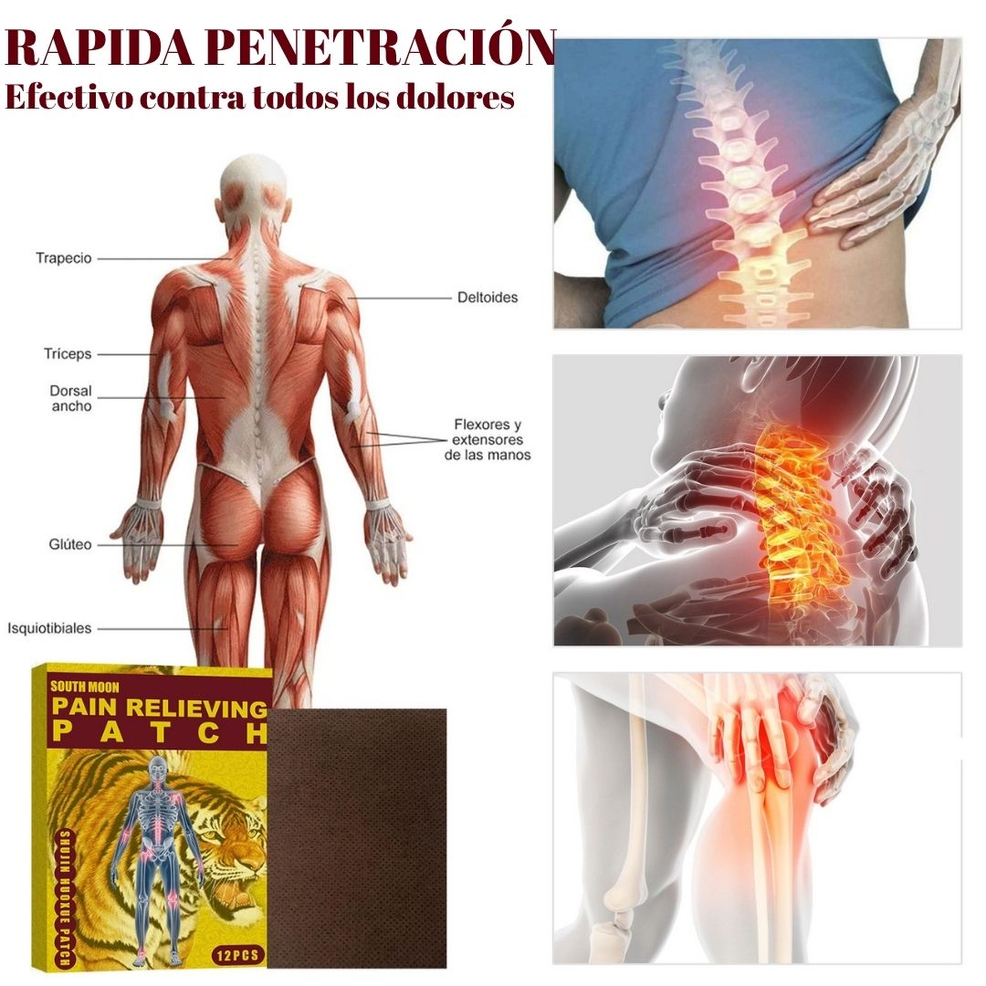 Parche Alivio Oriental – Terapia Herbal para Dolor Muscular y Articular
